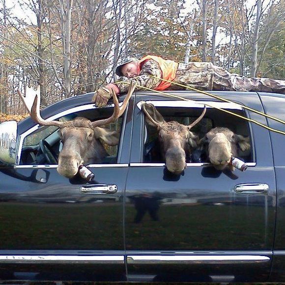 Meet your Posher, Kevin - Picture 1 of 1